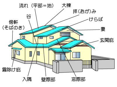 部位の名称
